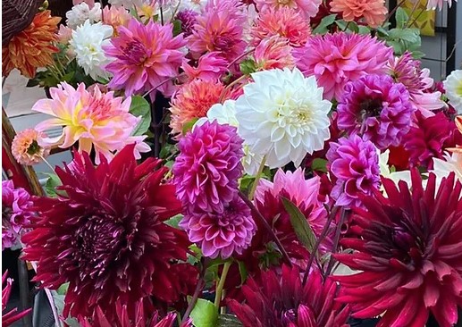 Murs à Fleurs