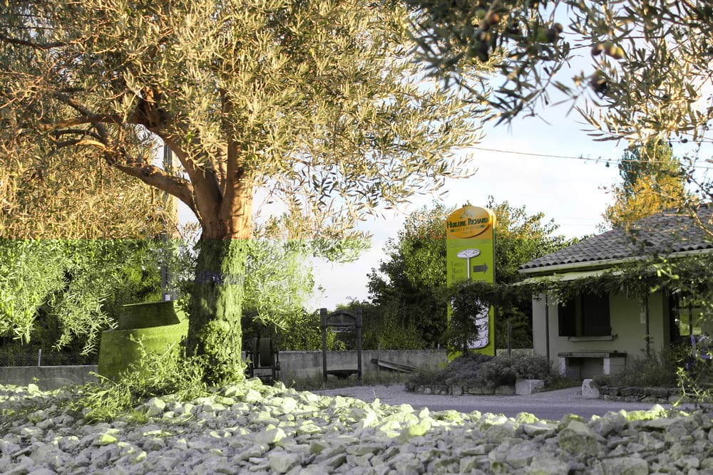 Huilerie Richard – Moulin de Montoison