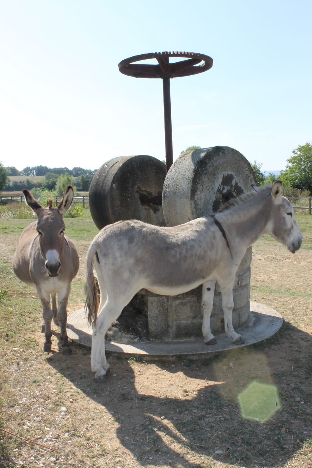 Huilerie Richard – Moulin de Montoison