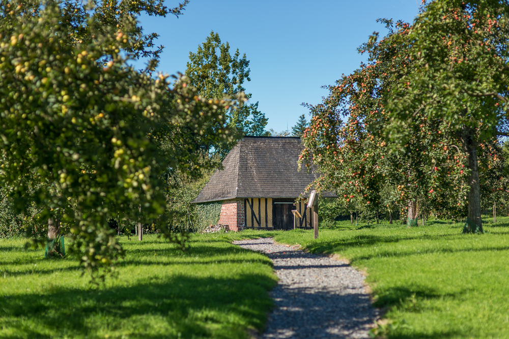 Calvados Christian Drouin