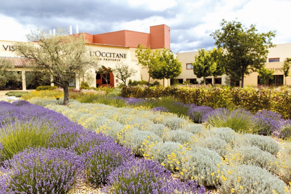 L'Occitane en Provence