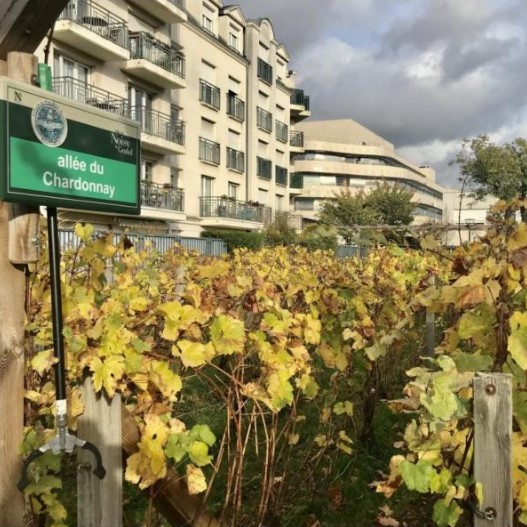 La Confrerie Du Clos Saint Vincent