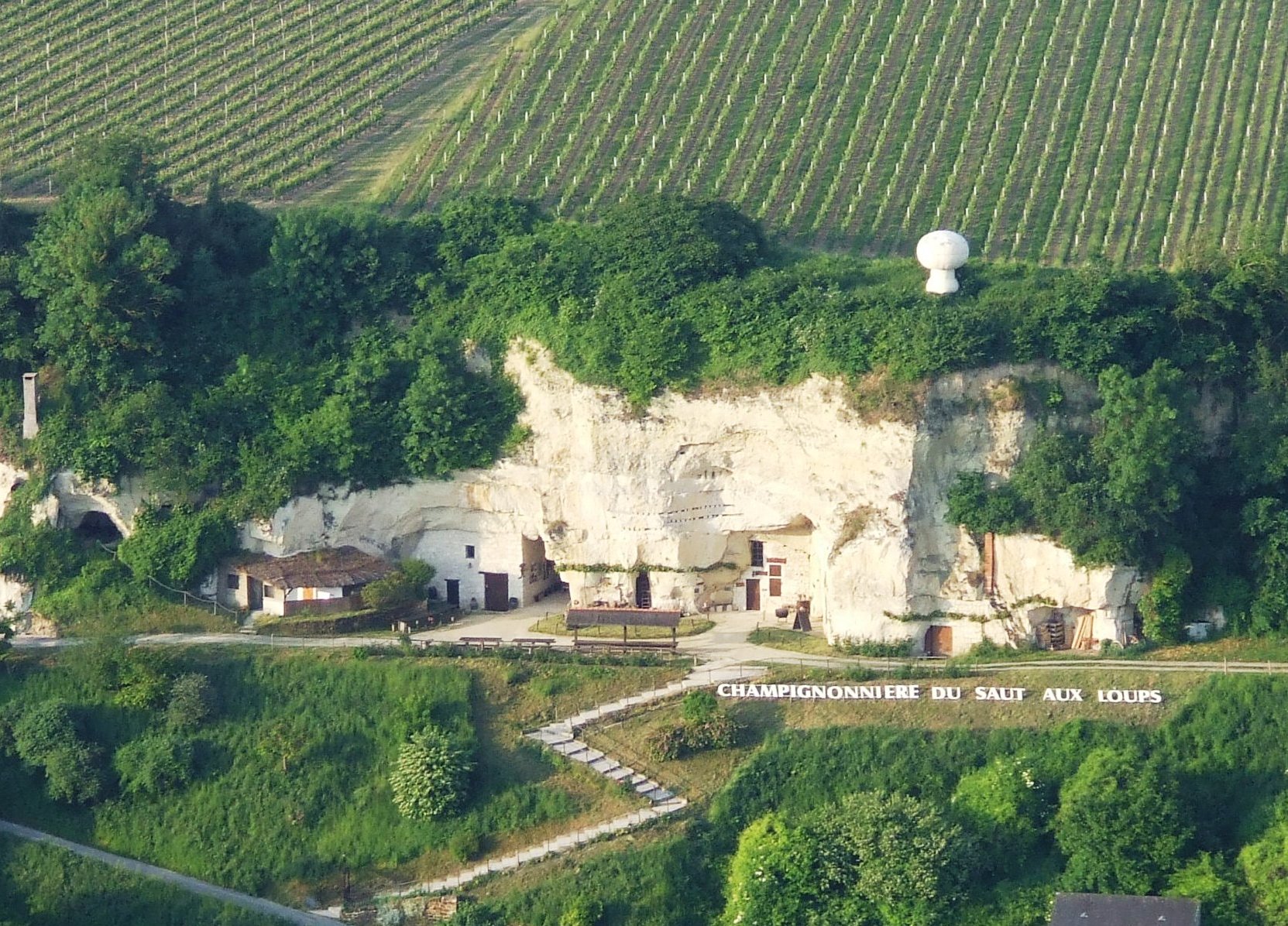 Champignonnière du Saut aux Loups