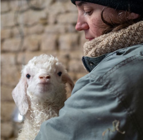La Ferme des P'tits Bergers