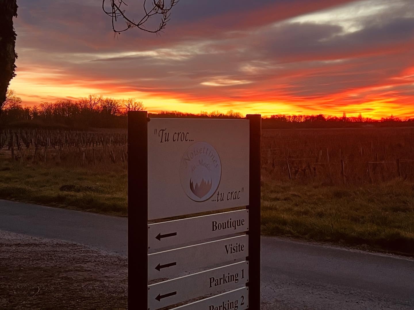 Noisettines du Médoc
