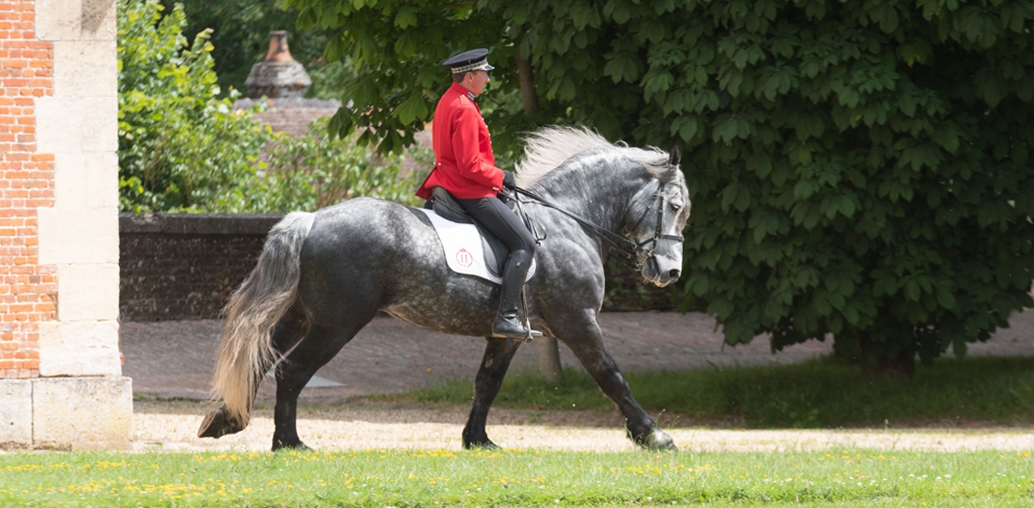Haras National du Pin