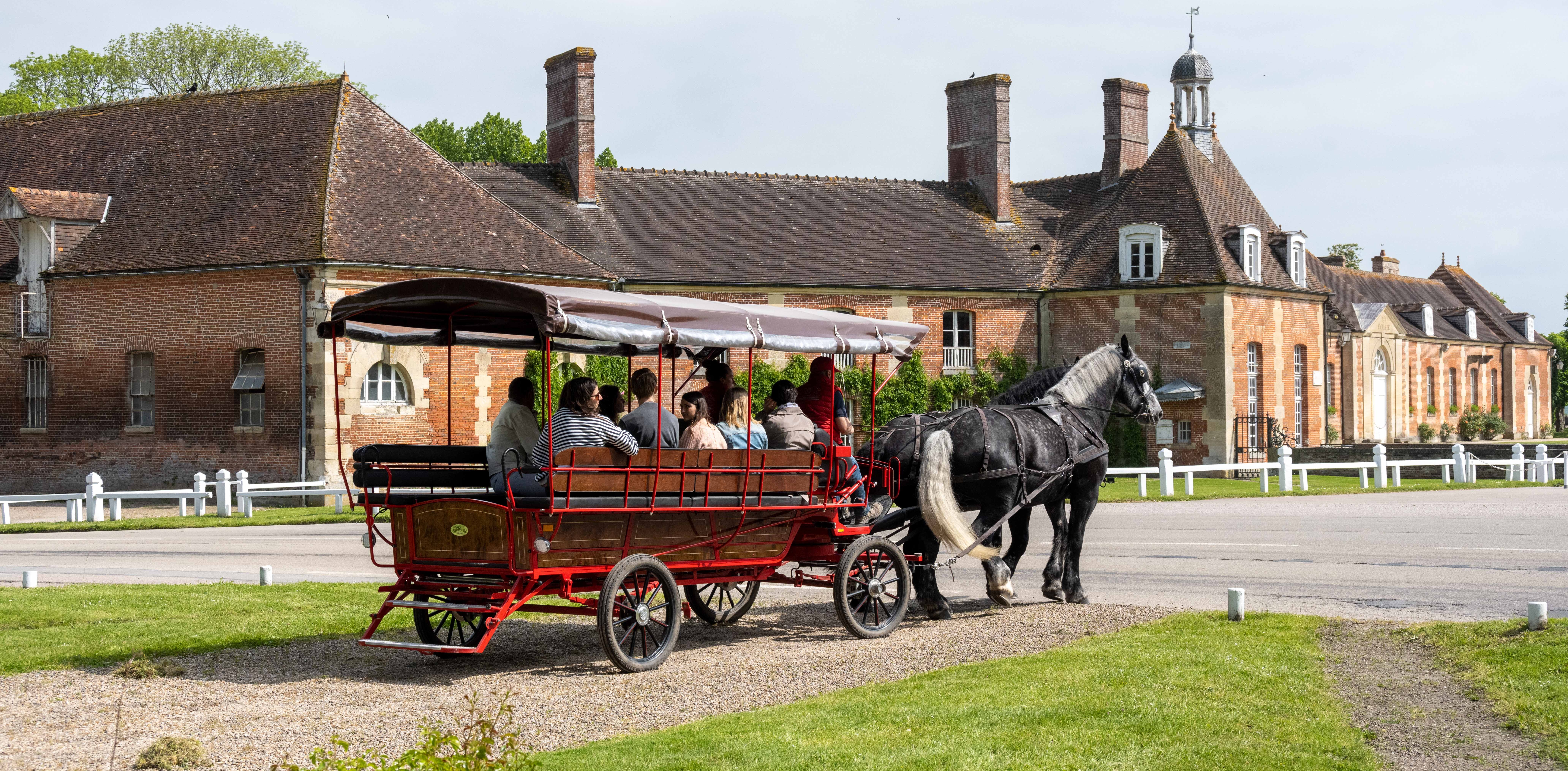 Haras National du Pin