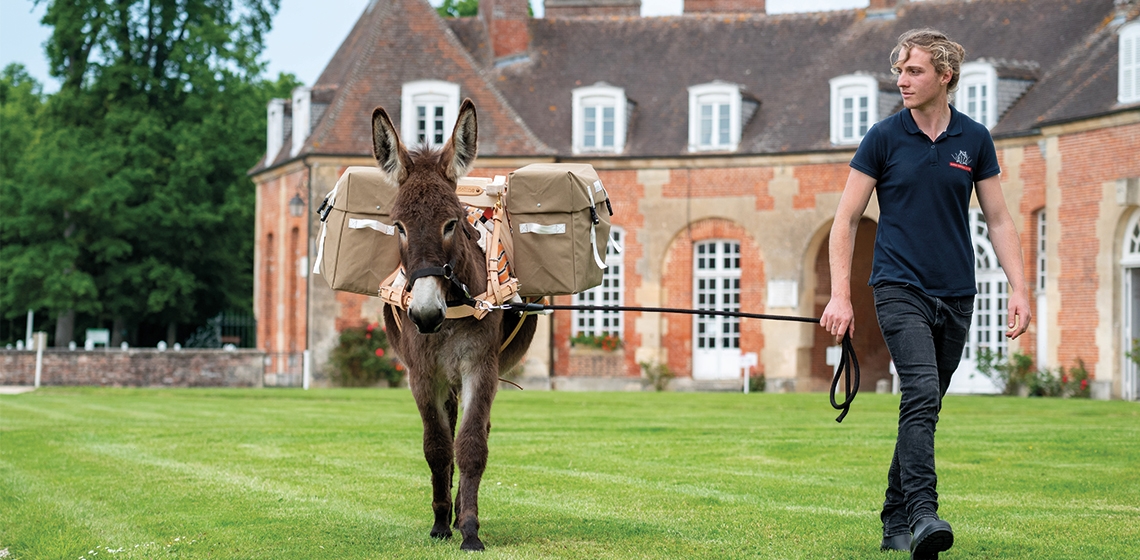 Haras National du Pin