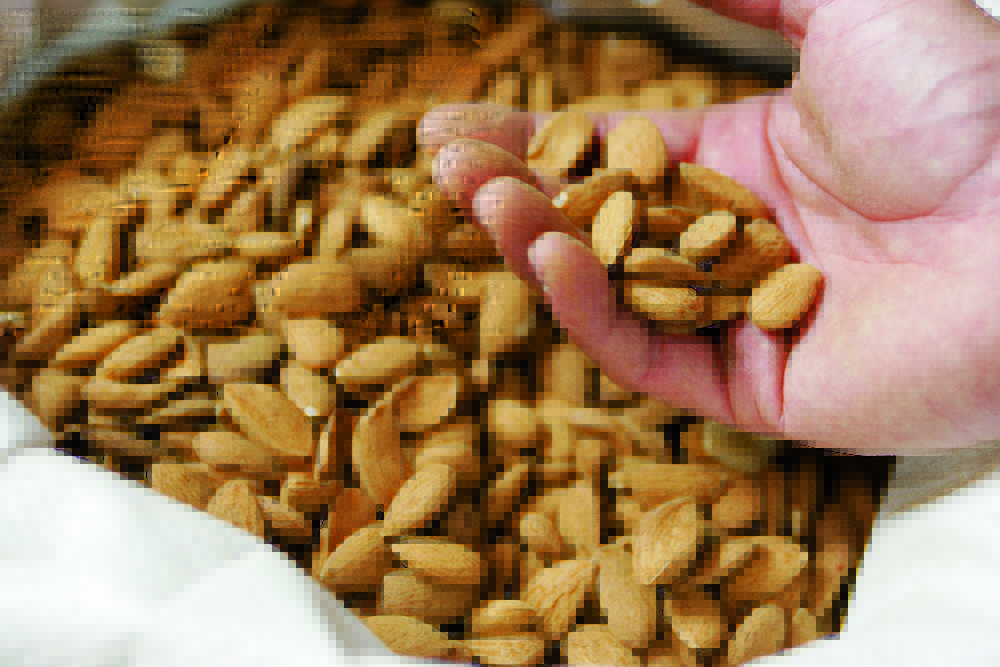 Confiserie du Roy René