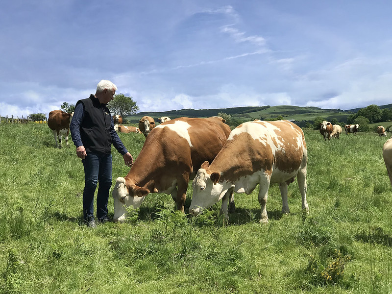 Coopérative Fromagère Jeune Montagne