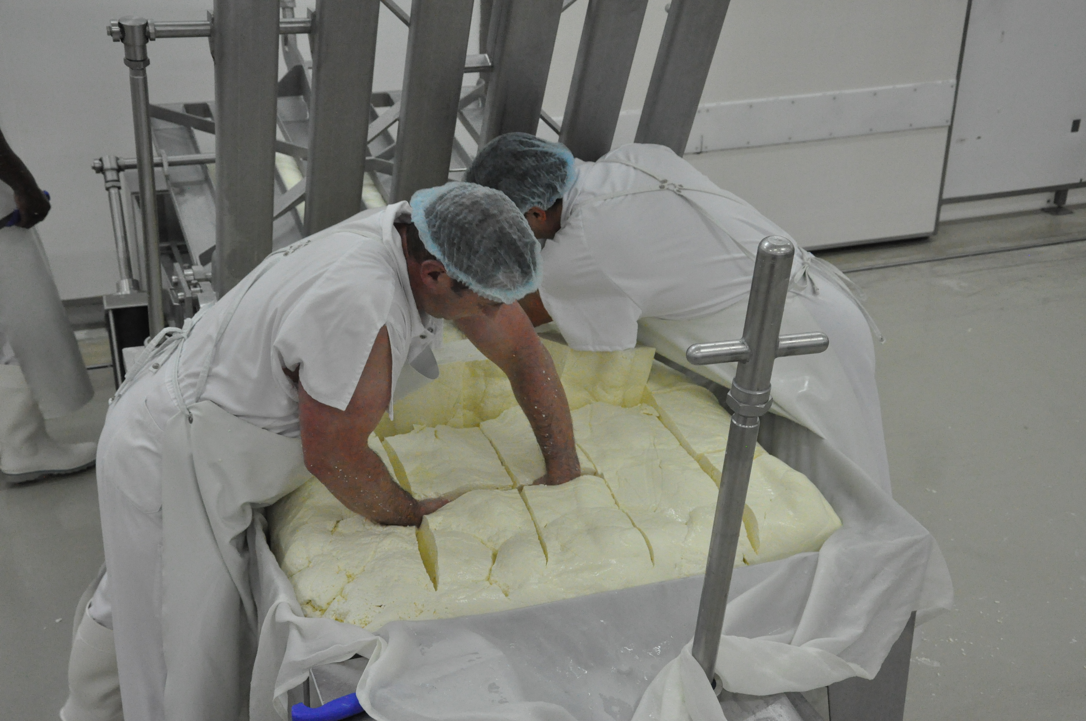 Coopérative Fromagère Jeune Montagne