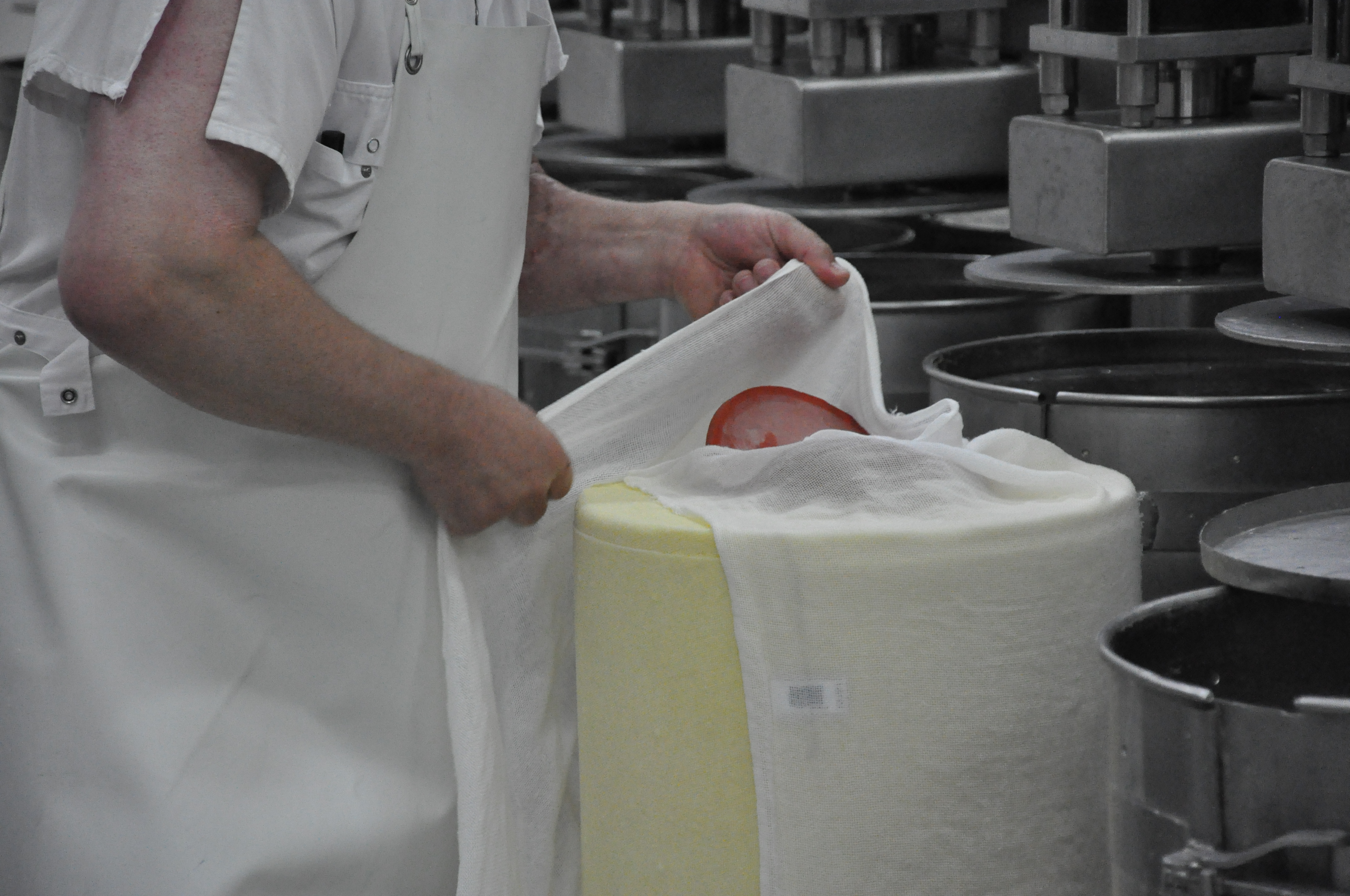 Coopérative Fromagère Jeune Montagne