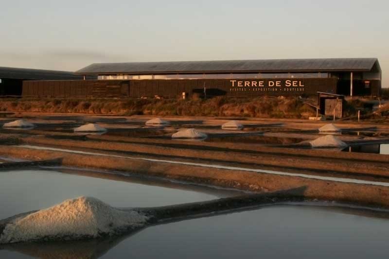 Terre de Sel