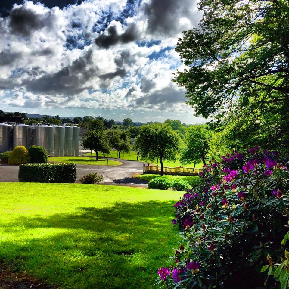 Domaine Du Coquerel