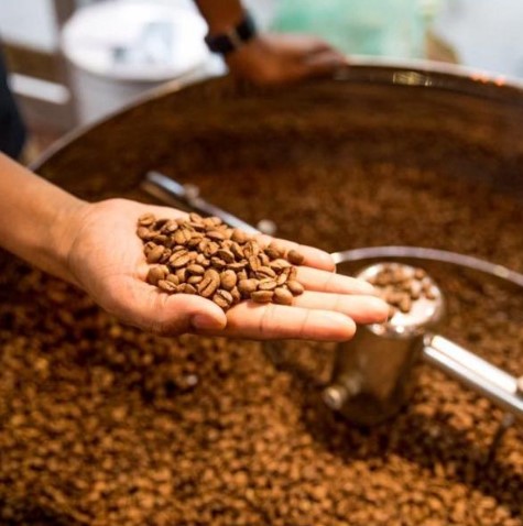 Les Secrets De La Torréfaction Du Cafe Avec Kaldi A Montreuil