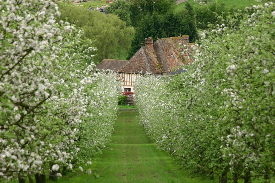 Calvados Pierre Huet