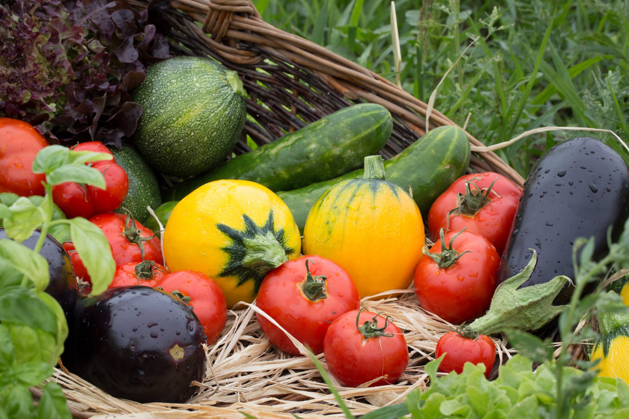 Ferme des potagers de Marcoussis